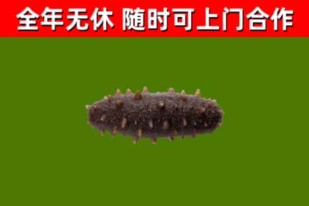 忻城县烟酒回收干海参.jpg